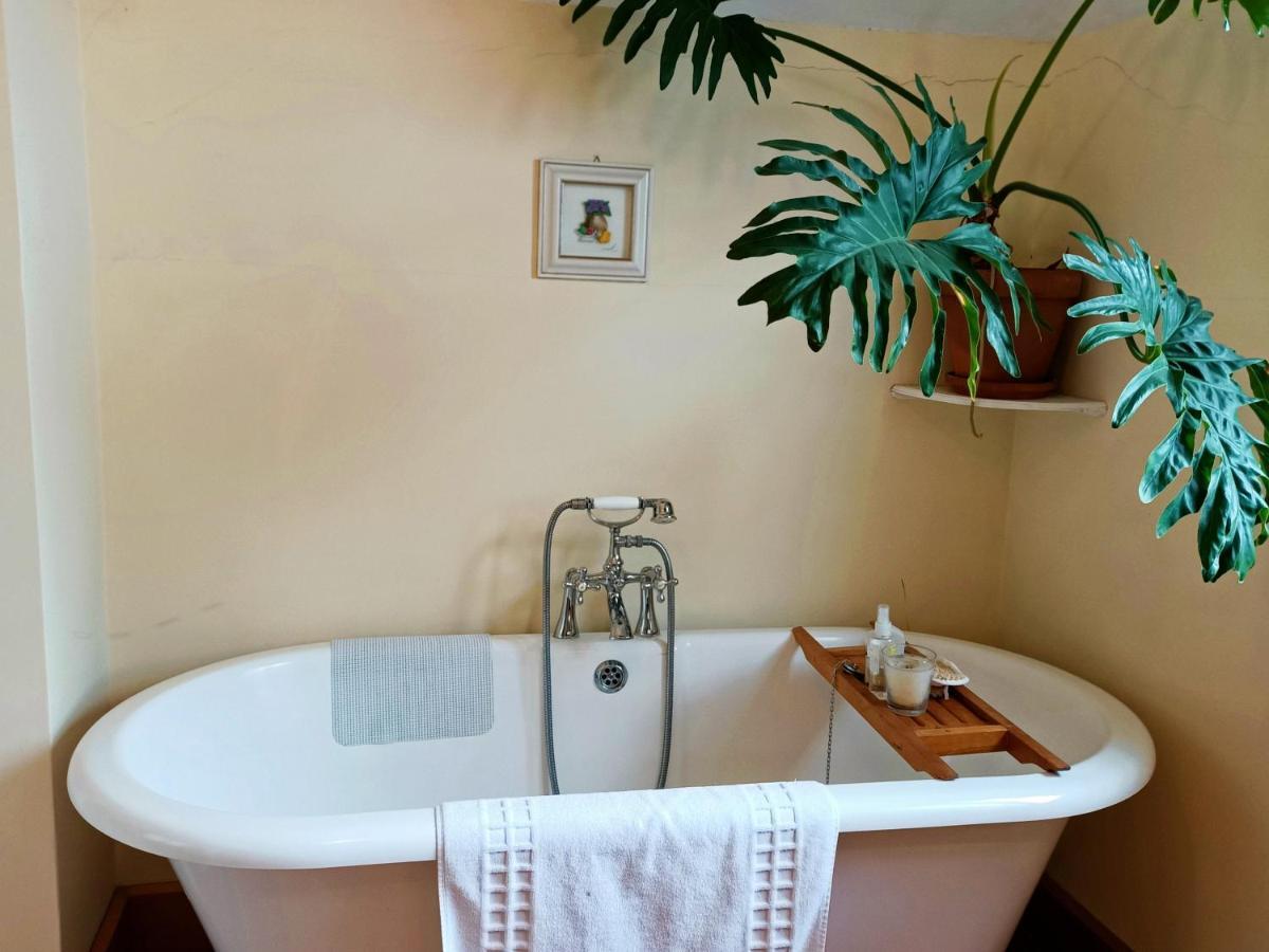 100 Year Old English Character House Hotel Timaru Luaran gambar